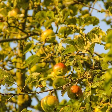 Gutshof Dubnitz Gutshof Dubnitz -ferienwohnung 4 